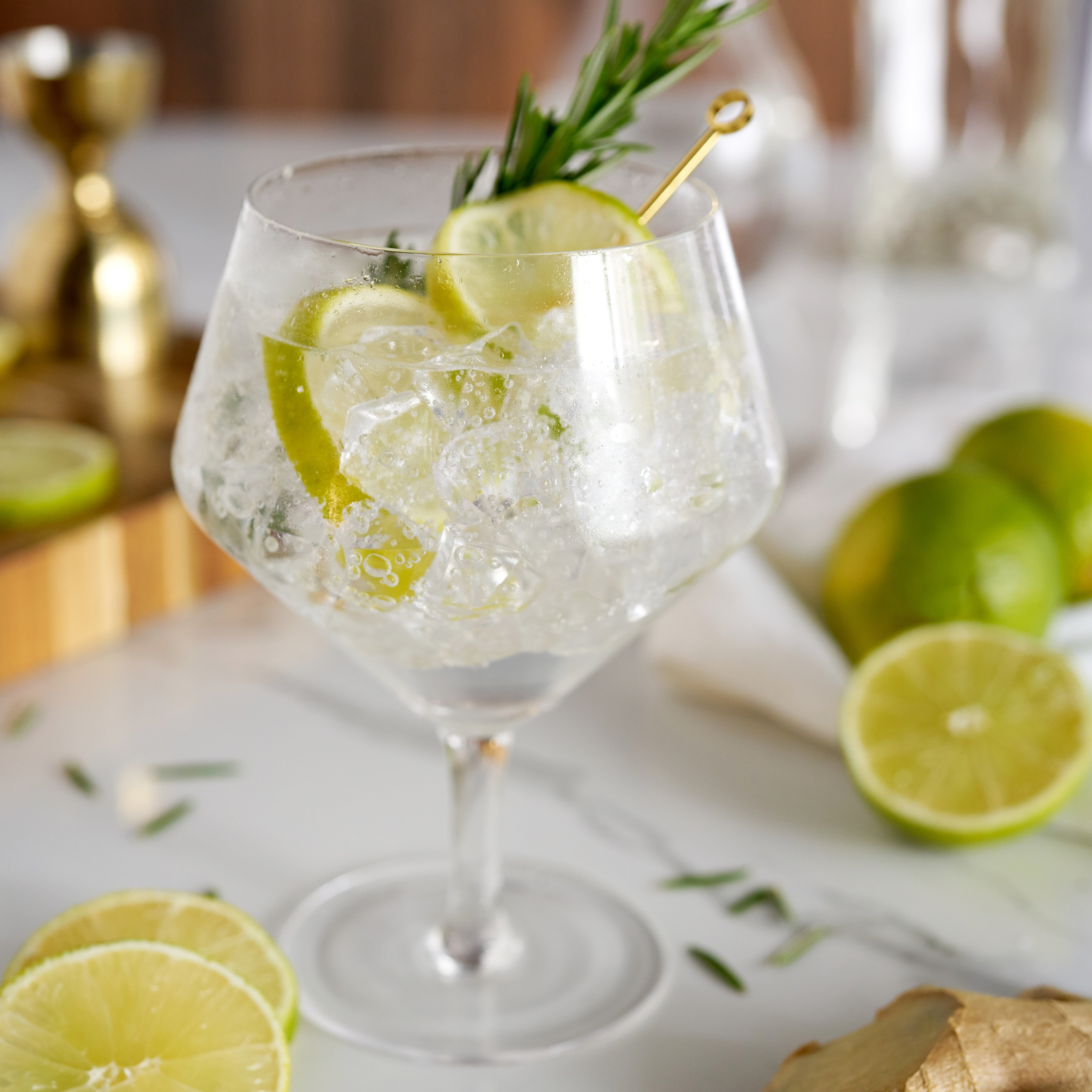 Viski Angled Crystal Gin & Tonic Glasses