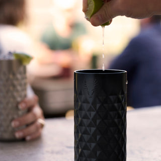 Paragon Stainless Steel Highball Tumbler in Obsidian