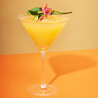 Raye Stemmed Crystal Martini Glasses Set of 2