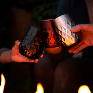 Paragon Stainless Steel Wine Tumbler in Platinum