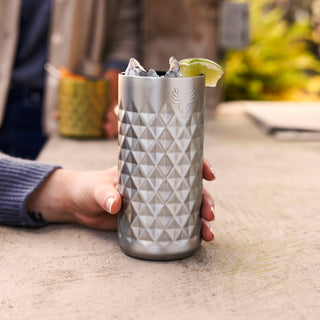 Paragon Stainless Steel Highball Tumbler in Platinum