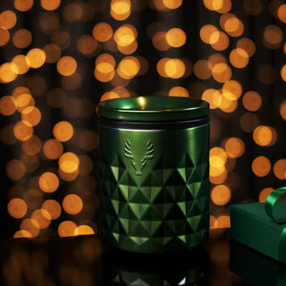 Paragon Stainless Steel Rocks Tumbler in Satin Green