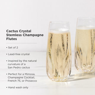 Cactus Crystal Stemless Champagne Flutes Set of 2
